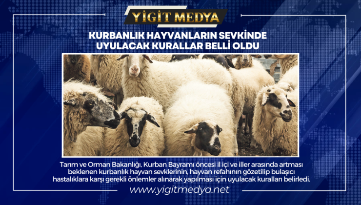 KURBANLIK HAYVANLARIN SEVKİNDE UYULACAK KURALLAR BELLİ OLDU