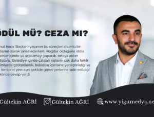 ÖDÜL MÜ? CEZA MI?