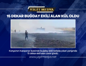 15 DEKAR BUĞDAY EKİLİ ALAN KÜL OLDU