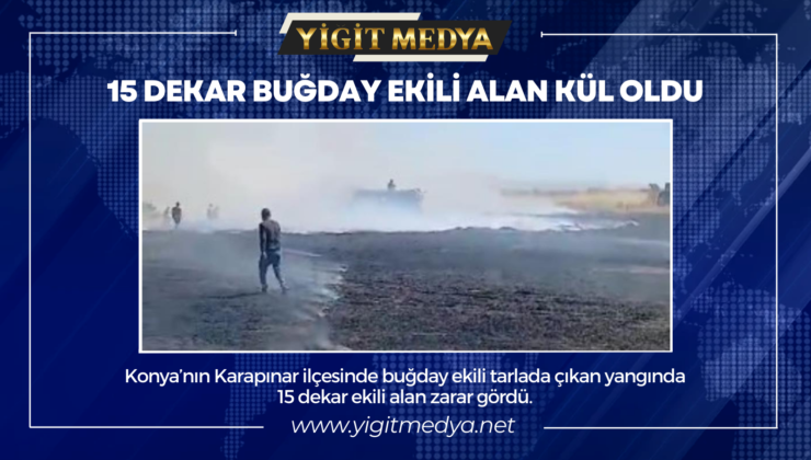 15 DEKAR BUĞDAY EKİLİ ALAN KÜL OLDU