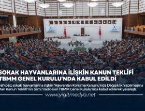 SOKAK HAYVANLARINA İLİŞKİN KANUN TEKLİFİ TBMM GENEL KURULU’NDA KABUL EDİLDİ