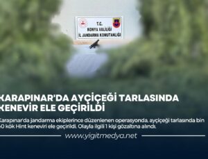 KARAPINAR’DA AYÇİÇEĞİ TARLASINDA KENEVİR ELE GEÇİRİLDİ