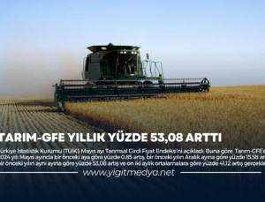 TARIM-GFE YILLIK YÜZDE 53,08 ARTTI