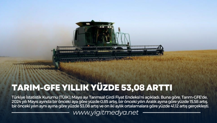 TARIM-GFE YILLIK YÜZDE 53,08 ARTTI