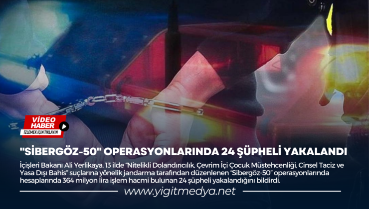 “SİBERGÖZ-50” OPERASYONLARINDA 24 ŞÜPHELİ YAKALANDI