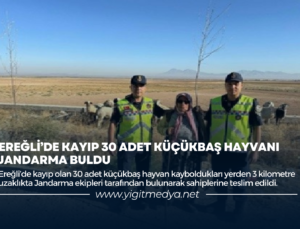 EREĞLİ’DE KAYIP 30 ADET KÜÇÜKBAŞ HAYVANI JANDARMA BULDU