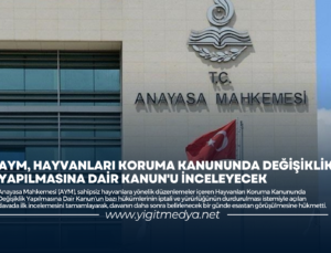 AYM, HAYVANLARI KORUMA KANUNUNDA DEĞİŞİKLİK YAPILMASINA DAİR KANUN’U İNCELEYECEK