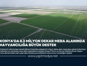 KONYA’DA 8.3 MİLYON DEKAR MERA ALANINDA HAYVANCILIĞA BÜYÜK DESTEK