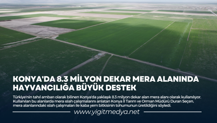 KONYA’DA 8.3 MİLYON DEKAR MERA ALANINDA HAYVANCILIĞA BÜYÜK DESTEK