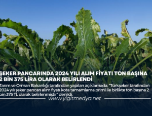 ŞEKER PANCARINDA 2024 YILI ALIM FİYATI TON BAŞINA 2 BİN 375 LİRA OLARAK BELİRLENDİ