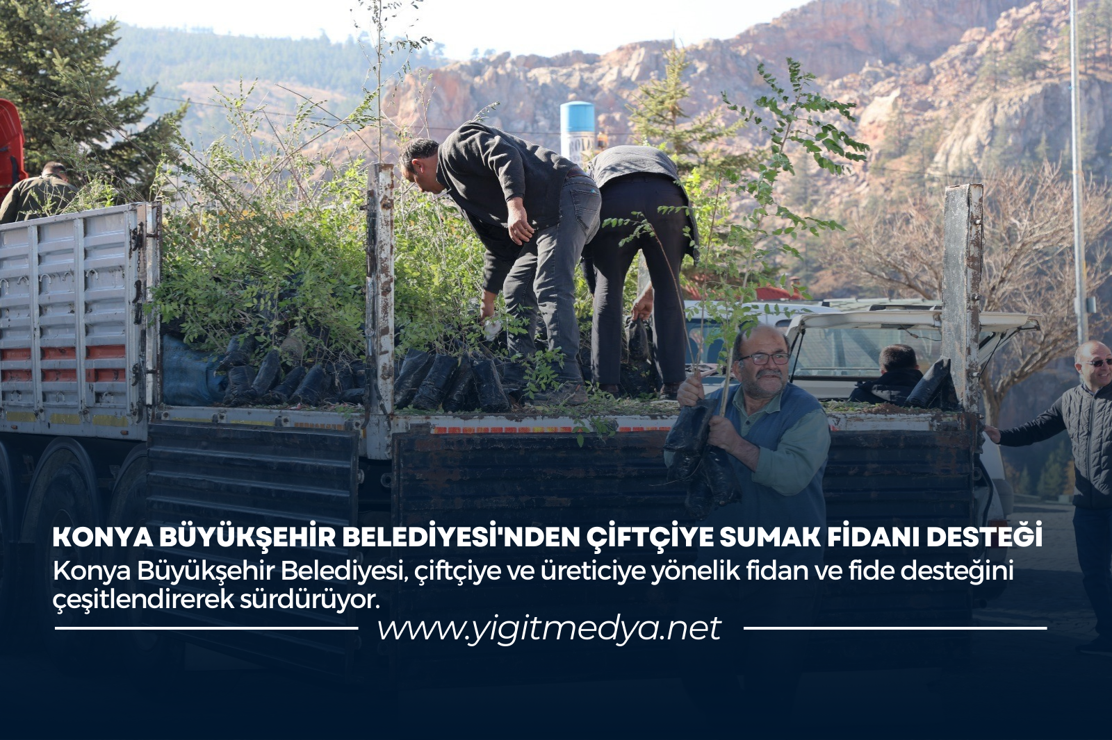 KONYA BÜYÜKŞEHİR BELEDİYESİ’NDEN ÇİFTÇİYE SUMAK FİDANI DESTEĞİ