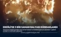 EREĞLİ’DE 3 BİN SAMAN BALYASI KUNDAKLANDI