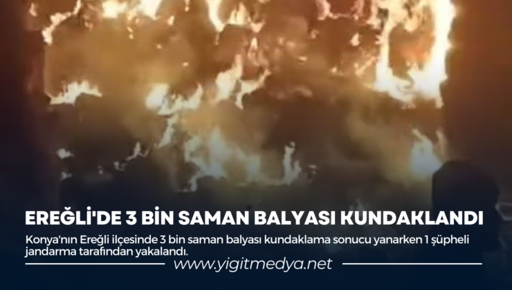 EREĞLİ’DE 3 BİN SAMAN BALYASI KUNDAKLANDI