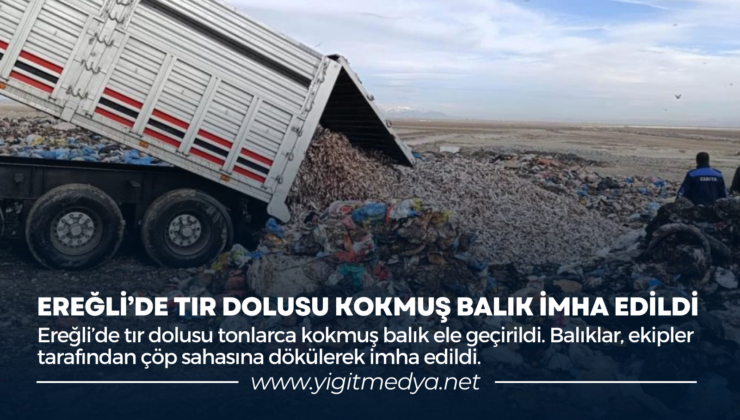 EREĞLİ’DE TIR DOLUSU KOKMUŞ BALIK İMHA EDİLDİ